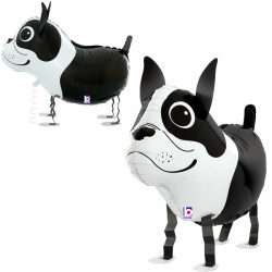 Boston Terrier 26" Balloon Friends Pkt