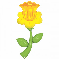 Daffodil 60" Fresh Picks Shape Pkt