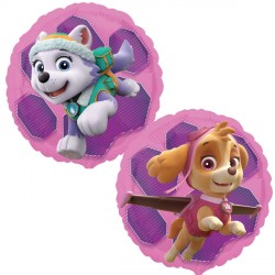 Paw Patrol Skye & Everest Standard S60 Pkt