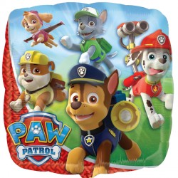 Paw Patrol Standard S60 Pkt