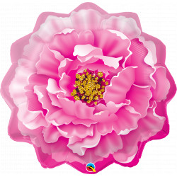 Pink Peony 33" Shape Group C Pkt Yzp