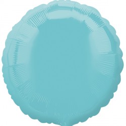 Robin's Egg Blue Round Standard S15 Flat A