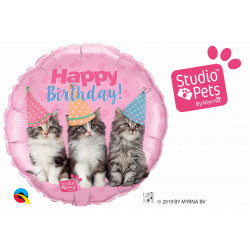 Studio Pets Birthday Kittens 18" Pkt Ib