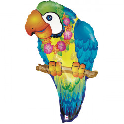 Tropical Parrot 29" Shape B Pkt